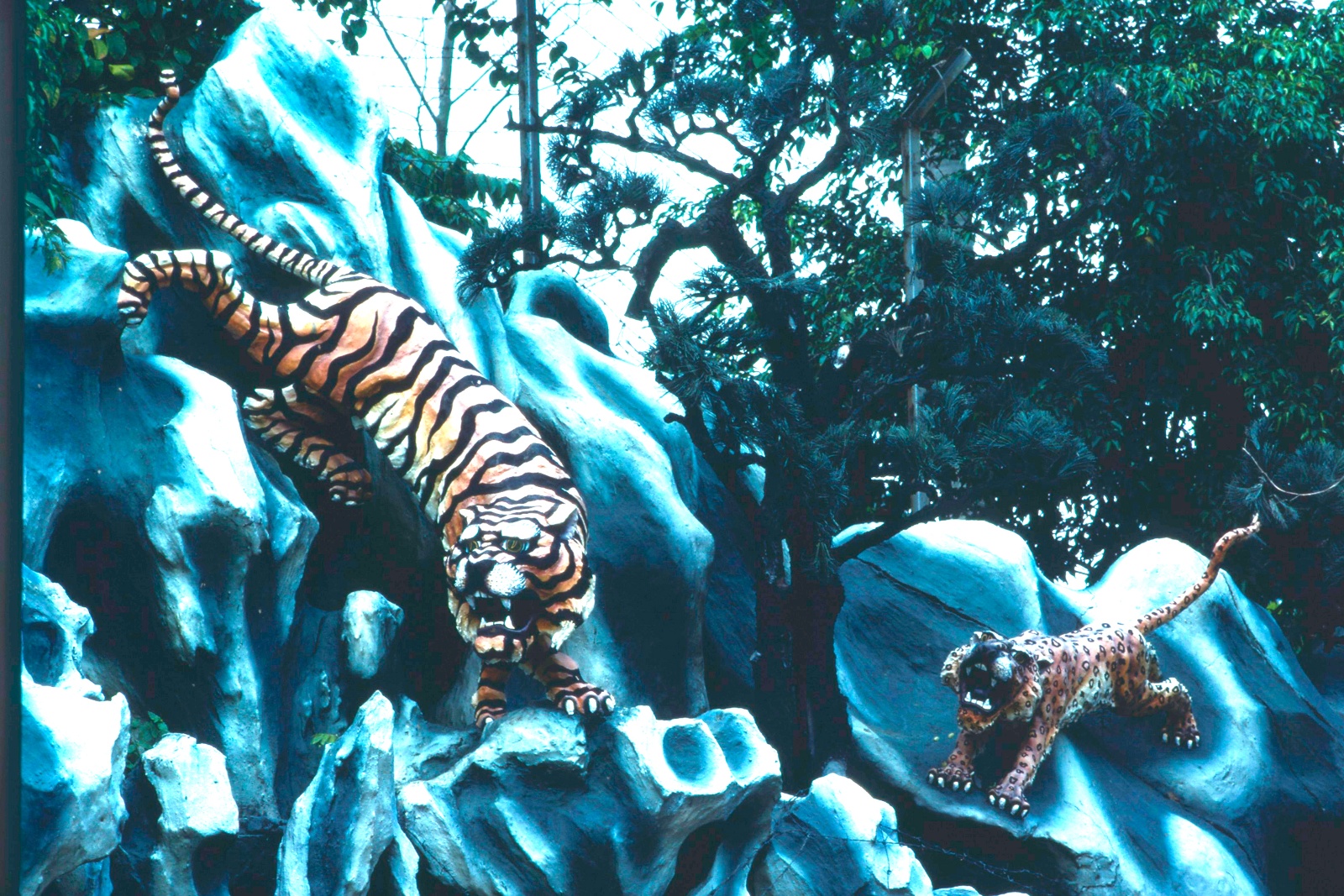 Tiger Balms Garden